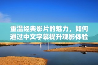 重温经典影片的魅力，如何通过中文字幕提升观影体验