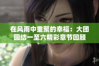 在风雨中重聚的幸福：大团圆结一至六精彩章节回顾