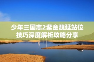 少年三国志2紫金魏延站位技巧深度解析攻略分享