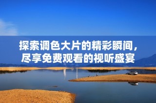 探索调色大片的精彩瞬间，尽享免费观看的视听盛宴