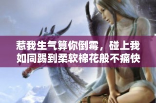 惹我生气算你倒霉，碰上我如同踢到柔软棉花般不痛快