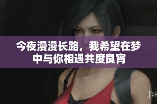 今夜漫漫长路，我希望在梦中与你相遇共度良宵
