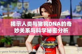 揭示人类与猪狗DNA的奇妙关系与科学秘密分析