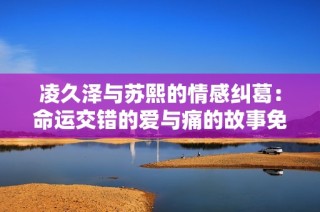 凌久泽与苏熙的情感纠葛：命运交错的爱与痛的故事免费阅读