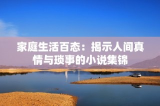 家庭生活百态：揭示人间真情与琐事的小说集锦