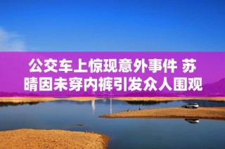 公交车上惊现意外事件 苏晴因未穿内裤引发众人围观和热议