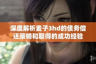 深度解析麦子3hd的债务偿还策略和取得的成功经验