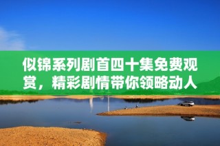 似锦系列剧首四十集免费观赏，精彩剧情带你领略动人故事