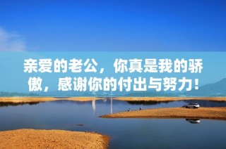 亲爱的老公，你真是我的骄傲，感谢你的付出与努力！