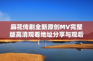 麻花传剧全新原创MV完整版高清观看地址分享与观后感受