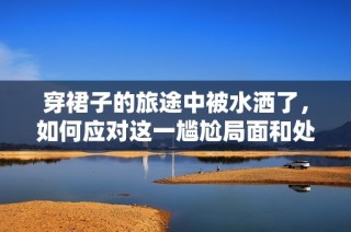 穿裙子的旅途中被水洒了，如何应对这一尴尬局面和处理方式