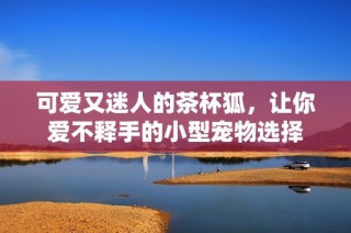 可爱又迷人的茶杯狐，让你爱不释手的小型宠物选择