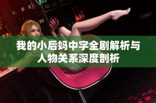 我的小后妈中字全剧解析与人物关系深度剖析