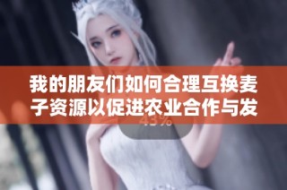 我的朋友们如何合理互换麦子资源以促进农业合作与发展