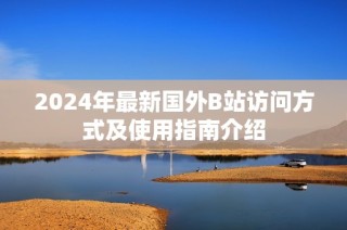 2024年最新国外B站访问方式及使用指南介绍