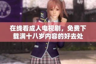 在线看成人电视剧，免费下载满十八岁内容的好去处