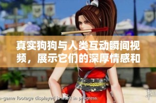 真实狗狗与人类互动瞬间视频，展示它们的深厚情感和有趣时刻