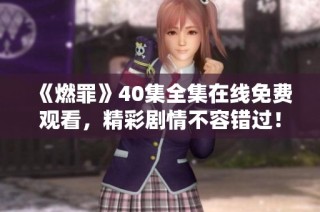 《燃罪》40集全集在线免费观看，精彩剧情不容错过！