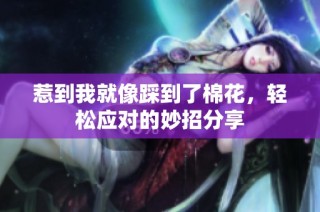 惹到我就像踩到了棉花，轻松应对的妙招分享