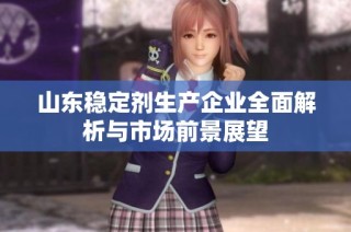 山东稳定剂生产企业全面解析与市场前景展望