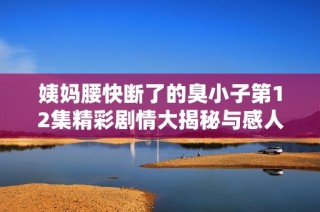姨妈腰快断了的臭小子第12集精彩剧情大揭秘与感人瞬间分析