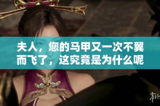 夫人，您的马甲又一次不翼而飞了，这究竟是为什么呢