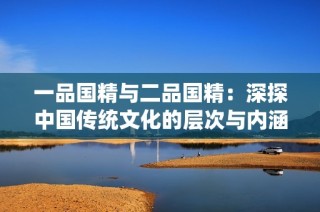 一品国精与二品国精：深探中国传统文化的层次与内涵