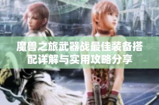 魔兽之旅武器战最佳装备搭配详解与实用攻略分享