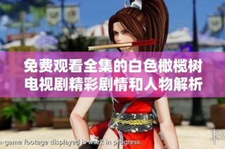 免费观看全集的白色橄榄树电视剧精彩剧情和人物解析分享