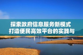 探索政府信息服务新模式 打造便民高效平台的实践与思考