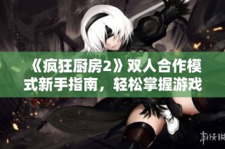 《疯狂厨房2》双人合作模式新手指南，轻松掌握游戏技巧与胜利秘诀