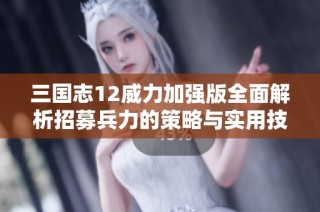 三国志12威力加强版全面解析招募兵力的策略与实用技巧
