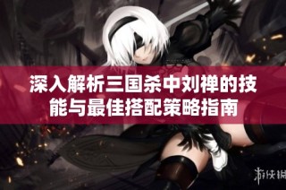 深入解析三国杀中刘禅的技能与最佳搭配策略指南