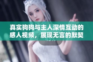真实狗狗与主人深情互动的感人视频，展现无言的默契与爱意