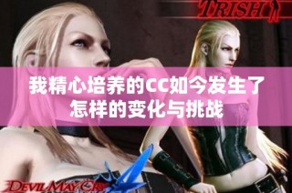 我精心培养的CC如今发生了怎样的变化与挑战