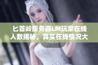 匕首岭服务器LM玩家在线人数揭秘，真实在线情况大曝光