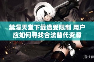 禁漫天堂下载遭受限制 用户应如何寻找合法替代资源