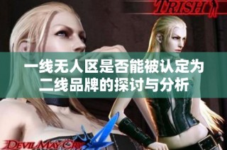 一线无人区是否能被认定为二线品牌的探讨与分析