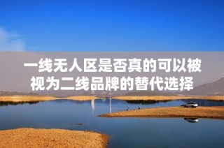 一线无人区是否真的可以被视为二线品牌的替代选择