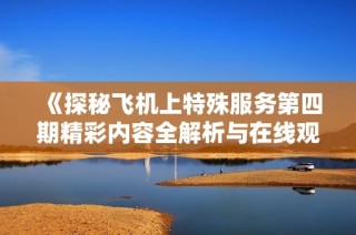 《探秘飞机上特殊服务第四期精彩内容全解析与在线观看指南》