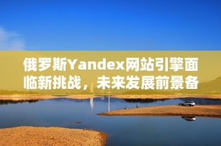 俄罗斯Yandex网站引擎面临新挑战，未来发展前景备受关注