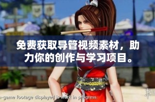 免费获取导管视频素材，助力你的创作与学习项目。