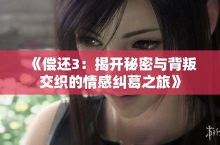 《偿还3：揭开秘密与背叛交织的情感纠葛之旅》