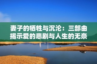 妻子的牺牲与沉沦：三部曲揭示爱的悲剧与人生的无奈