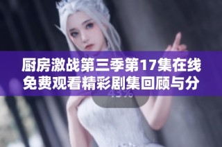 厨房激战第三季第17集在线免费观看精彩剧集回顾与分析