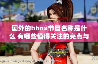 国外的bbox节目名称是什么 有哪些值得关注的亮点与特色