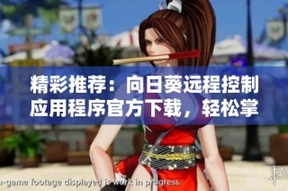精彩推荐：向日葵远程控制应用程序官方下载，轻松掌握远程操作技能