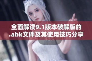 全面解读9.1版本破解版的.abk文件及其使用技巧分享