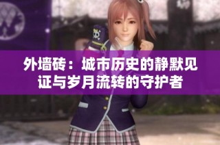 外墙砖：城市历史的静默见证与岁月流转的守护者