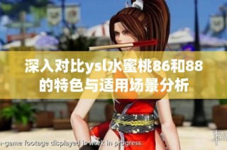 深入对比ysl水蜜桃86和88的特色与适用场景分析